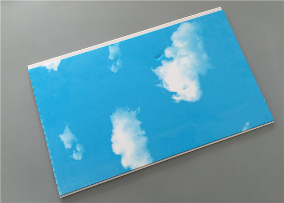 Blue Sky Garage Organization Wall Panel, Laminate Wall Panels Untuk Kamar Mandi